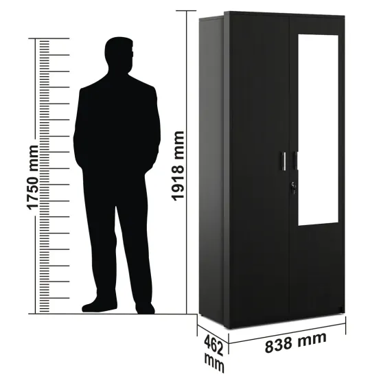 Apex 2 Door Wardrobe With Mirror - Natural Wenge Woodpore