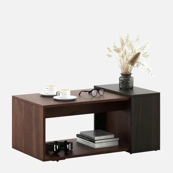 Center Table Ct 107 In Sheesham & Fumed Oak