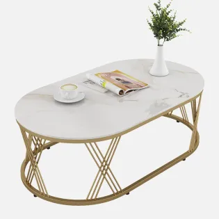 Center Table Roger Oval  With Ceramic Top And Metal Under Structure In Gold